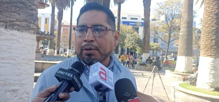 Crisis en el sector de panificadores: ¿Qué medidas se están tomando?
