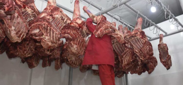 Crisis en el sector de comercialización de carne en Tarija por aumento de precios