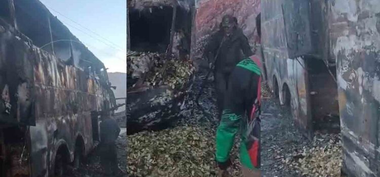 Incendio en bus de La Paz a Bermejo causa pérdidas millonarias a productores de coca