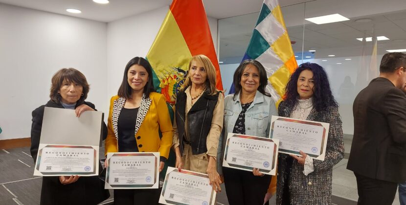 La Cámara de Diputados de Bolivia reconoce la labor del Círculo de Mujeres Periodistas de La Paz.