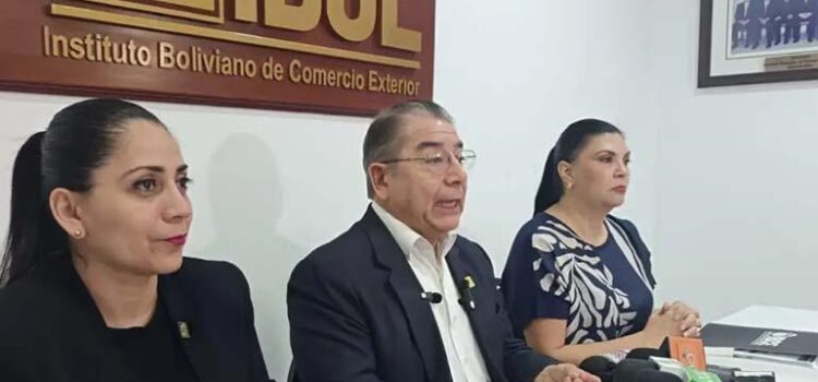 El dólar digital y paralelo en Bolivia alcanzan cifras históricas: ¿Qué medidas se deben tomar?