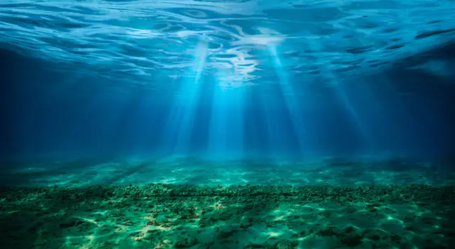 El oscurecimiento oceánico amenaza la vida marina a nivel global, revela estudio.