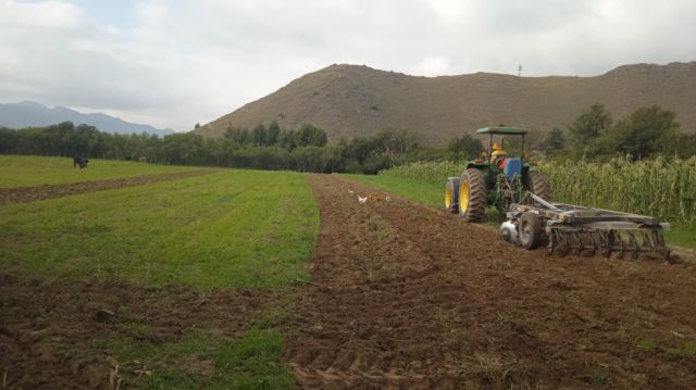 Aumento de costos amenaza producción agrícola en Tarija