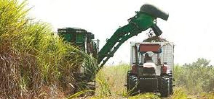 Gobierno garantiza suministro de diésel para campaña invernal priorizando agro y caña, ante desafío de divisas