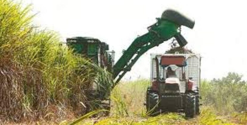 Gobierno garantiza suministro de diésel para campaña invernal priorizando agro y caña, ante desafío de divisas