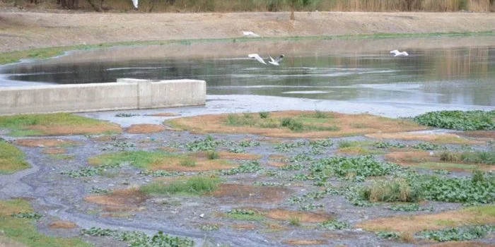 Lagunas de oxidación en San Luis paralizadas por falta de licencia ambiental; avance de Macro PTAR en Tarija avanza con financiamiento asegurado
