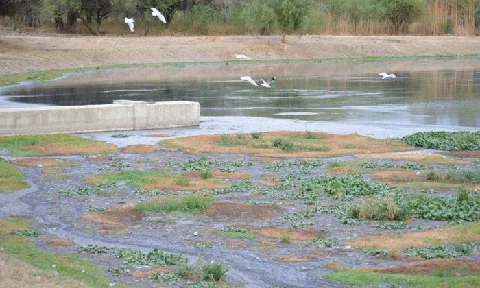 Lagunas de oxidación en San Luis paralizadas por falta de licencia ambiental; avance de Macro PTAR en Tarija avanza con financiamiento asegurado
