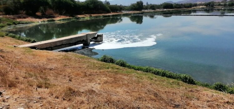 Cosaalt retoma saneamiento de lagunas de oxidación en San Luis con gestión directa