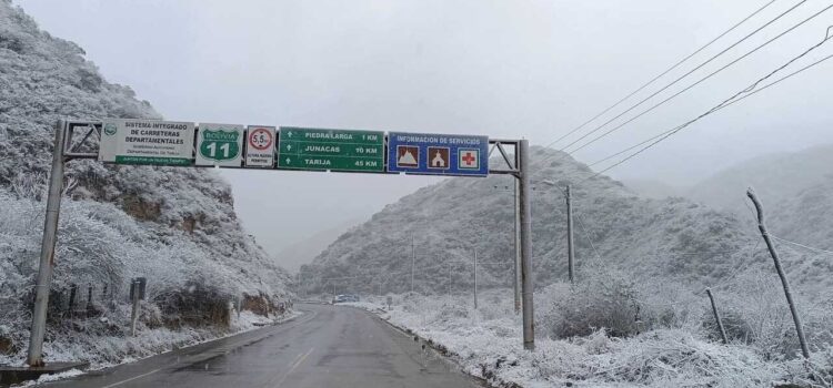 Heladas Severas Afectan a Cientos de Miles de Animales y Productores Agrícolas en Siete Departamentos