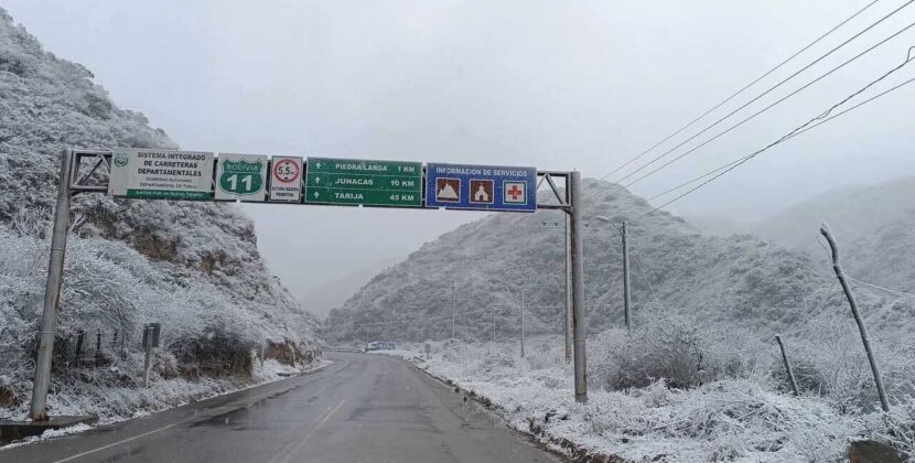 Heladas Severas Afectan a Cientos de Miles de Animales y Productores Agrícolas en Siete Departamentos