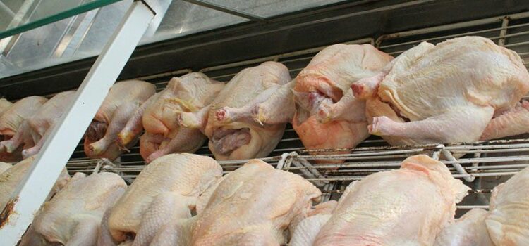 Estabilidad de precios de pollo y huevo en Tarija contrasta con desafíos del sector avícola