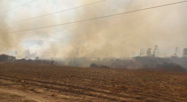 Incendio forestal arrasa Santa Bárbara San Lorenzo Tarija comunarios alertan grave situación