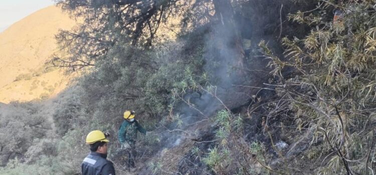 Unidades de emergencia sofocan el 98 por ciento del incendio en la serranía de Sama Tarija
