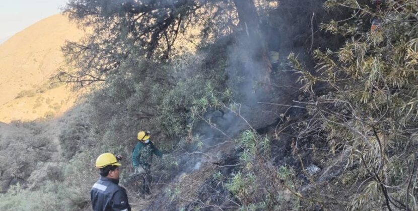 Unidades de emergencia sofocan el 98 por ciento del incendio en la serranía de Sama Tarija