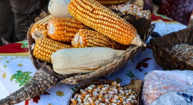 Itaú celebra su Feria del Maíz y Derivados con oportunidades de negocio y desarrollo agrícola