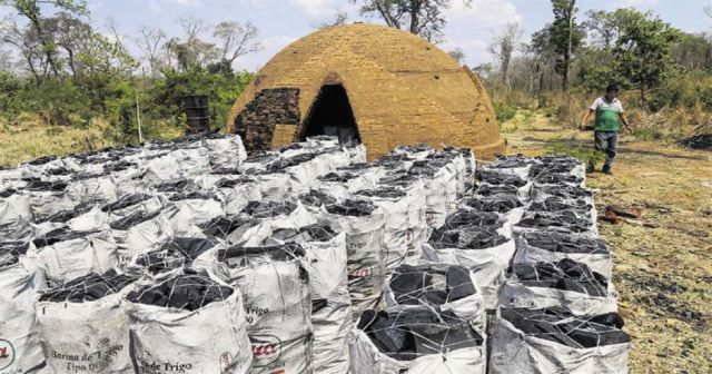 Chaco rumbo a desierto vaticinan expertos por desmonte masivo