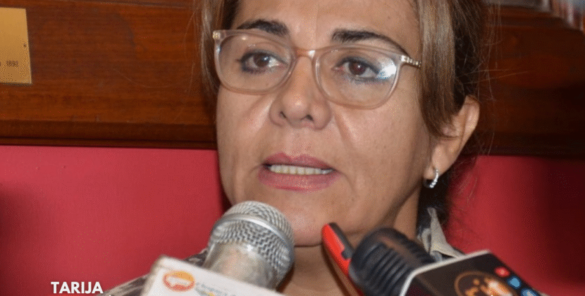 Gobernación de Tarija denuncia falta de apoyo nacional en salud pública