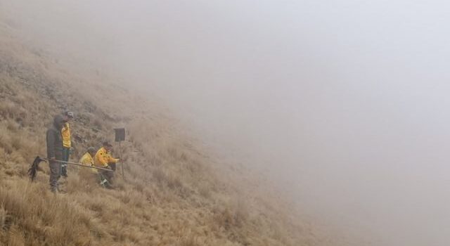 Guardaparques intensifican esfuerzos para proteger nidos de cóndores en Sama tras devastador incendio