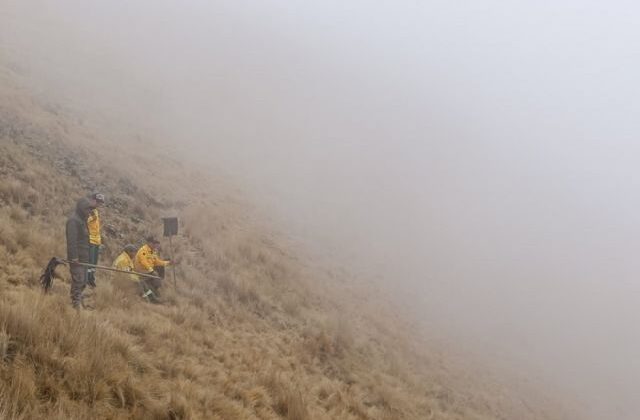 Guardaparques intensifican esfuerzos para proteger nidos de cóndores en Sama tras devastador incendio