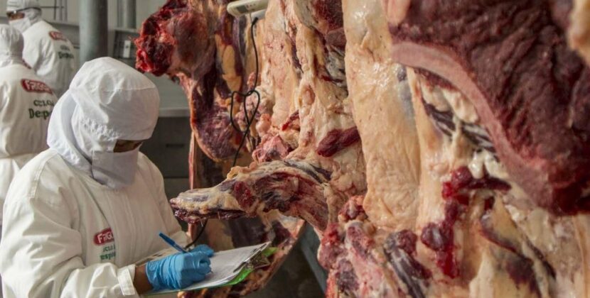 Restricción exportación carne genera pérdida 60 millones dólares 100 días
