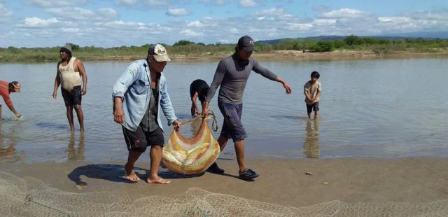 Codefauna solicita veda en el río Pilcomayo para salvaguardar la reproducción de peces