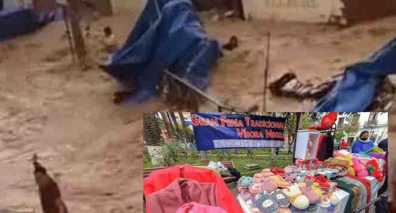 Feriantes de la Víbora Negra en Tarija reactivan su mercado tras un año de inundaciones