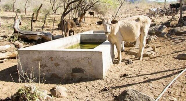 Sequía e incendios forestales ponen en jaque las fuentes de agua de Tarija