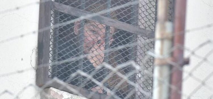 TSJ Rechaza Revisión de Sentencia Caso Golpe II Contra Jeanine Áñez