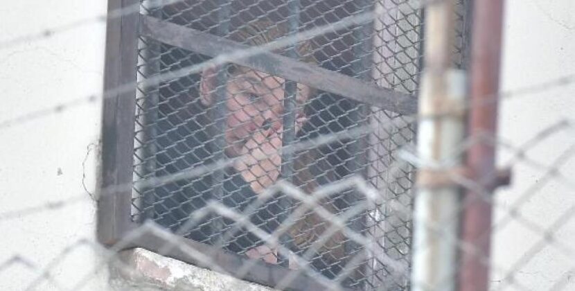 TSJ Rechaza Revisión de Sentencia Caso Golpe II Contra Jeanine Áñez