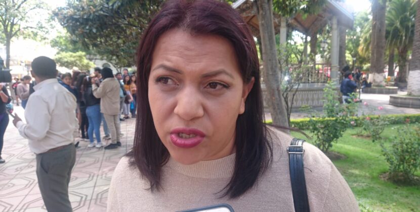 Senado retrasa decisión clave sobre ley de diferimiento de pago de deudas para próxima administración