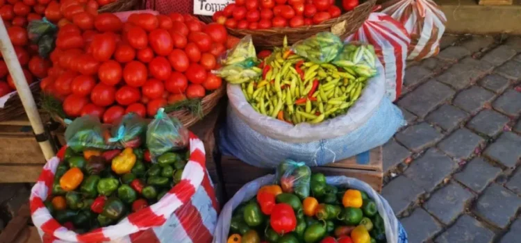 Alimentos escasos en centros de acogida por persistentes limitaciones presupuestarias