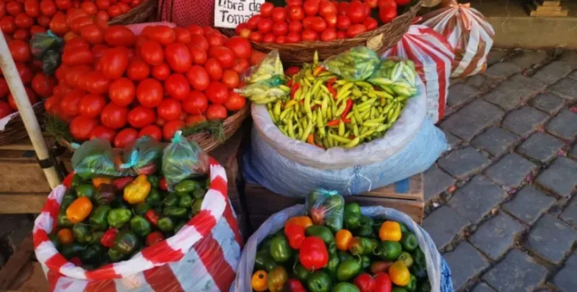 Alimentos escasos en centros de acogida por persistentes limitaciones presupuestarias