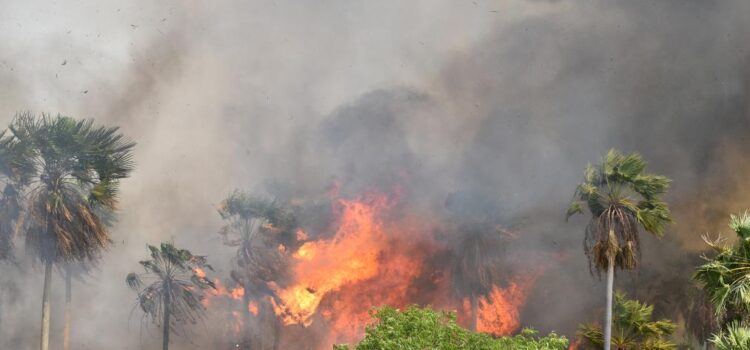Santa Cruz único departamento con incendios forestales activos en Bolivia