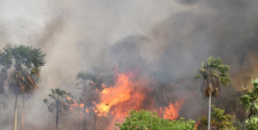 Santa Cruz único departamento con incendios forestales activos en Bolivia