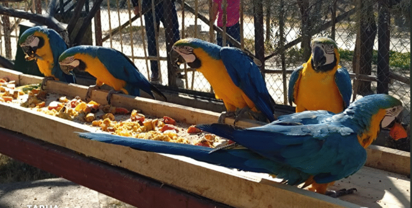 Bioparque Urbano descarta mortalidad animal tras inspecciones exhaustivas