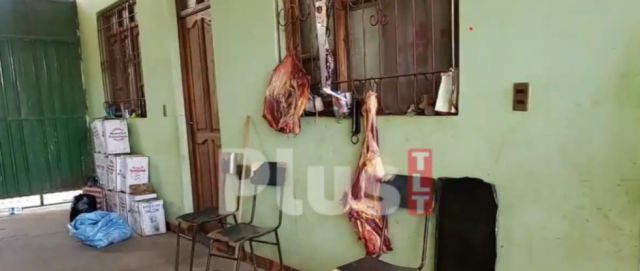 Decomisan carne en operativo contra matadero clandestino en domicilio denunciado