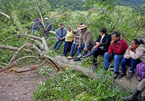 Comunarios Defienden al Domo Oso Tras Proceso Penal