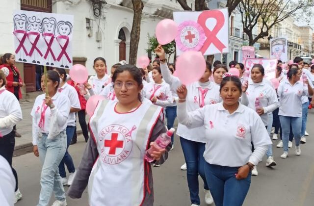 Cáncer de mama cérvico uterino y próstata los más frecuentes en Tarija