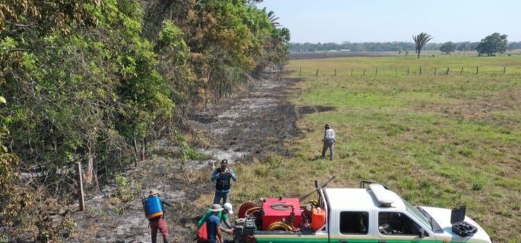 Bolivia enfrenta 111 procesos judiciales por devastadores incendios forestales en todo el país