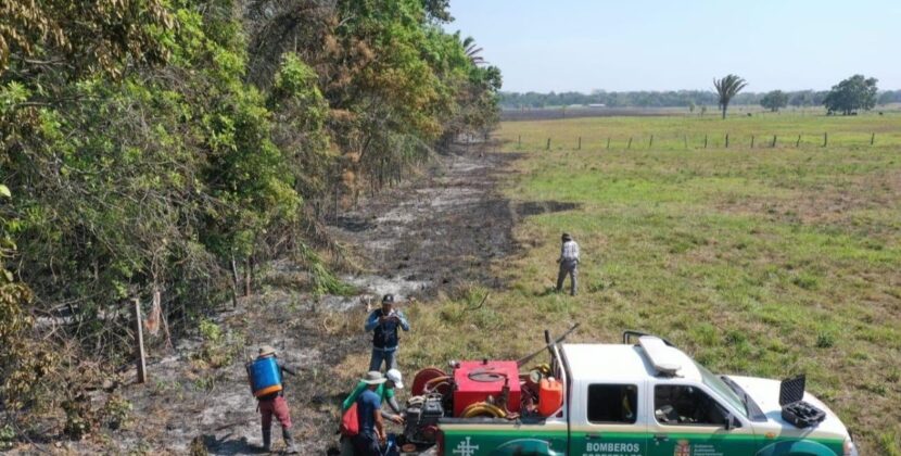 Bolivia enfrenta 111 procesos judiciales por devastadores incendios forestales en todo el país