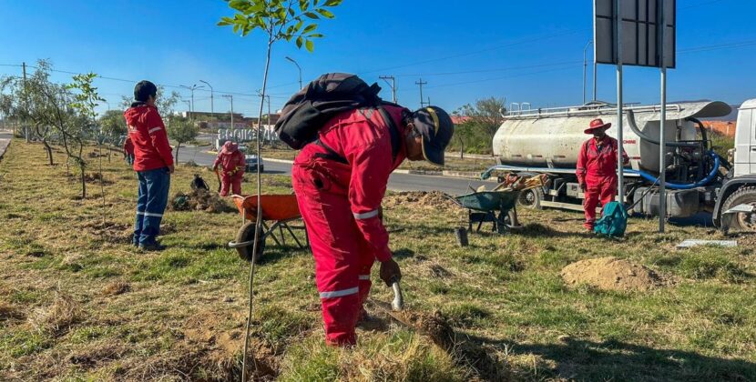 Alcaldía de Tarija impulsa reforestación histórica en la triple vía al Chaco mejorando el entorno y la biodiversidad