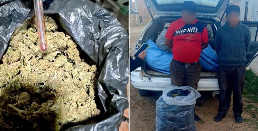 Capturan a dos individuos en posesión de treinta y dos envoltorios de marihuana