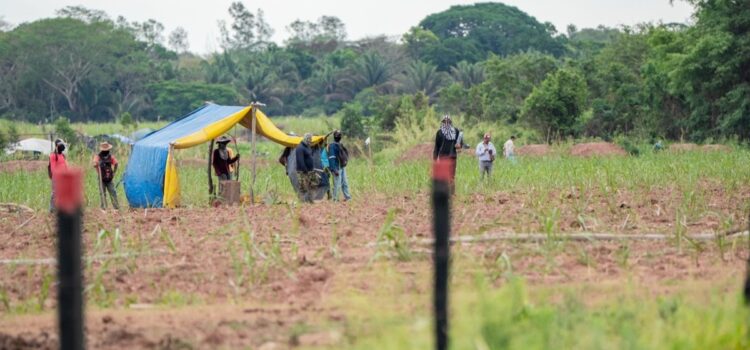 Tribunal Agroambiental exige al Gobierno acciones urgentes contra avasallamiento y pide sanciones ejemplares