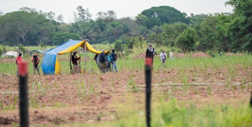 Tribunal Agroambiental exige al Gobierno acciones urgentes contra avasallamiento y pide sanciones ejemplares