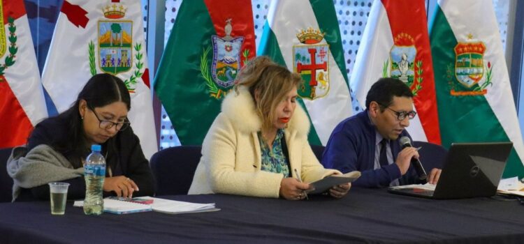 Evismo busca controlar investigación de fraude electoral en la Asamblea Nacional
