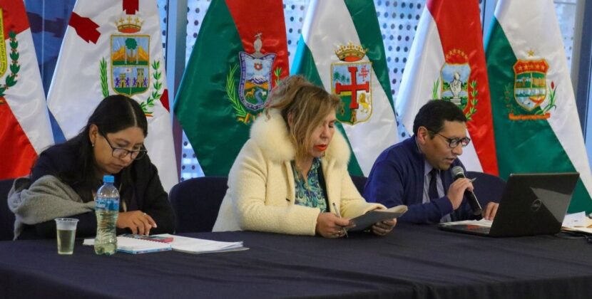 Evismo busca controlar investigación de fraude electoral en la Asamblea Nacional