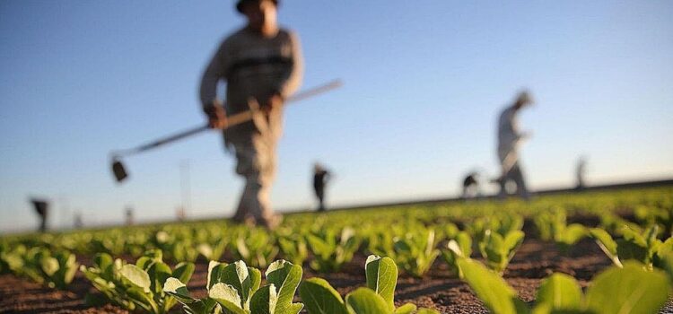 Paz y Quiroga definen prioridades de minería agricultura y turismo con enfoques divergentes