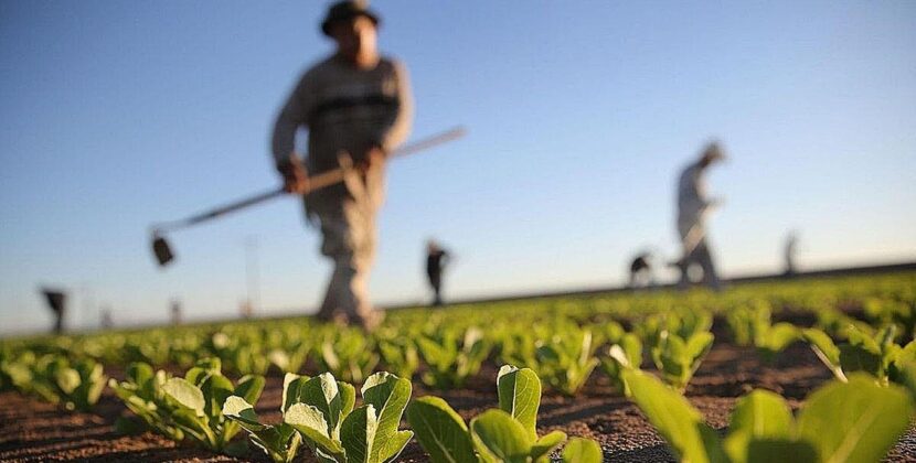 Paz y Quiroga definen prioridades de minería agricultura y turismo con enfoques divergentes