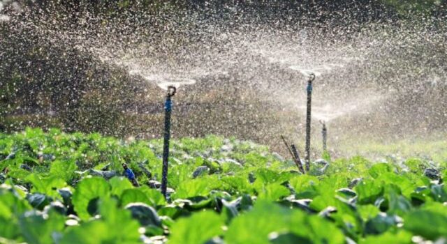 Presentan Agenda Estratégica para Potenciar el Desarrollo Productivo Nacional