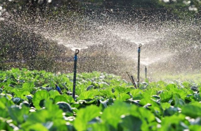 Presentan Agenda Estratégica para Potenciar el Desarrollo Productivo Nacional